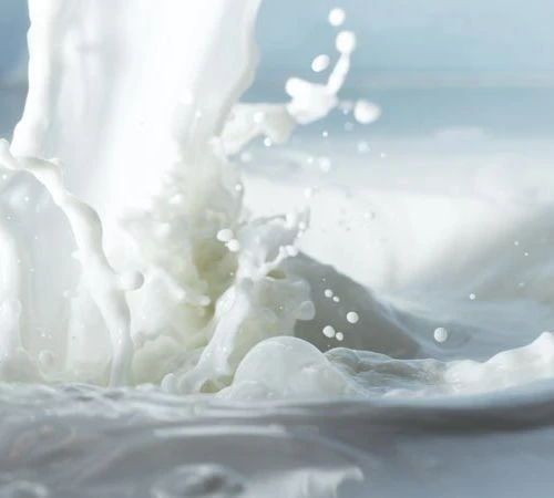 freeze dried ice cream raw material freeze dried ice cream raw material