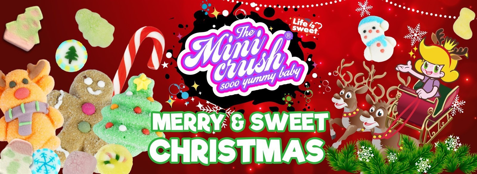 news-1600-584 news-1600-584